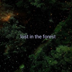 Doe Padre - Lost In The Forest (Original Mix)