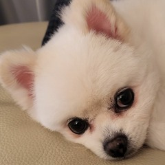 2022 - 08 - 14 StayingIn