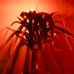 GUEST MIXES