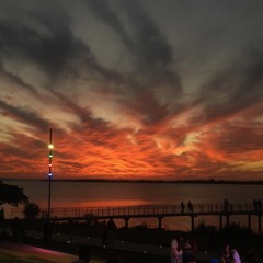 Scarlet Paintings - Milky Chance (cover)