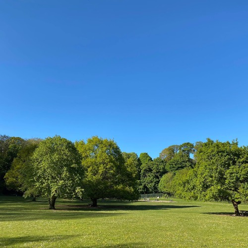 LT Podcast 131 // Timmy Stewart