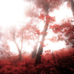 Quiet