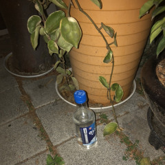 맑고 묽게 (검정치마)