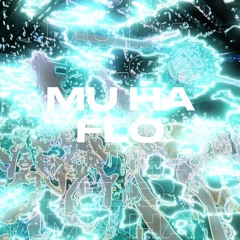 Muha flow