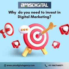 Digital Marketing Agency In India