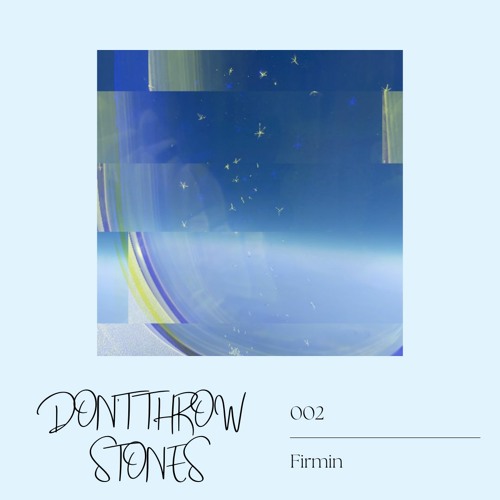 Don't Throw Stones 002: Firmin