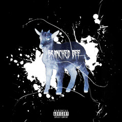 Branched Off prod by z3