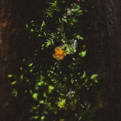 PREMIERE: Enivrèz Vous - Unsolved (Iacob Remix)[UTR050]