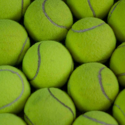 Stream Suck My Big Fat Balls by Lil Monkey Listen online for free on