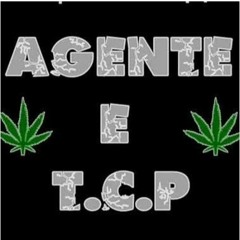 TERCEIRO COMANDO PURO