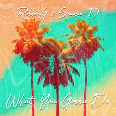 RobbieG & Seamus D - What You Gonna Do