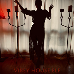 Vibey House Elf