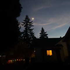 autumn leaves (frank cole x comethazine)