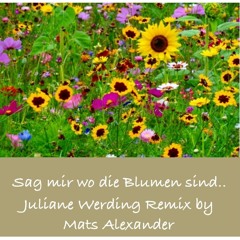 Juliane Werding - Sag Mir Wo Die Blumen Sind (Mats Alexander Edit)HD