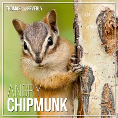 SD26 Angry Chipmunk