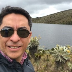 ¿Qué es la silvicultura urbana?