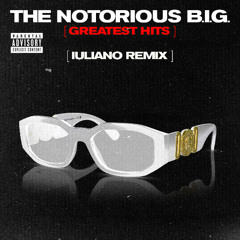 Notorious Big - Big Poppa (IULIANO Remix)