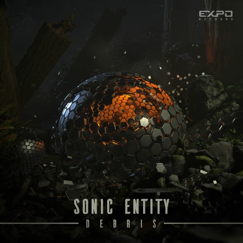 Sonic Entity - Debris (sample)