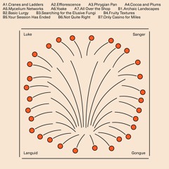 Luke Sanger - Languid Gongue [BALMAT01]