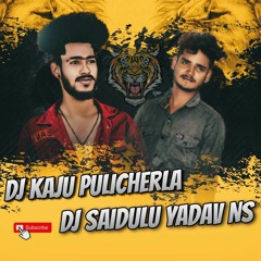 Dj kaju Pulicherla and Dj Saidulu Yadav.mp3