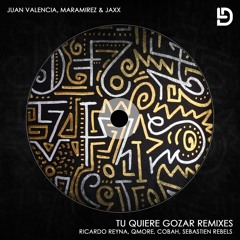 Juan Valencia, Maramirez & Jaxx - Tu Quiere Gozar (Sebastien Rebels Remix)