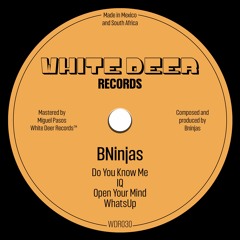 [WDR030] BNinjas - IQ EP (May 2022)