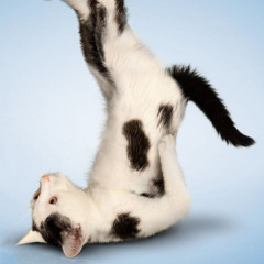 Obsolencia Programada