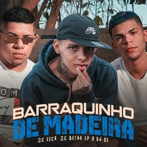 MC Rick e MC Bryan SP - Barraquinho de Madeira (DJ DI)