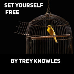 Set Yourself Free