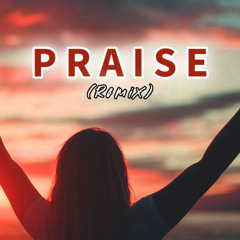 Praise The Lord (Remix)