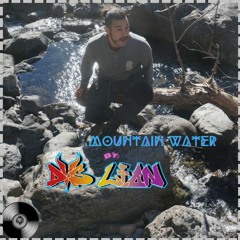 DVS Lion - Mountain Water