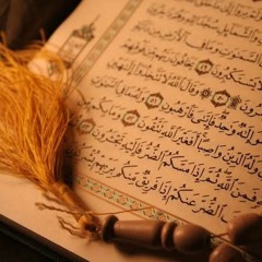 الشيخ أحمد عبد الرازق نصر - ما تيسر من القرآن الكريم