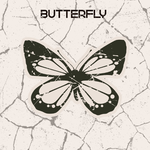 The Dhow and the Pussycat