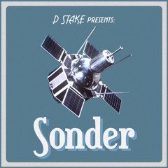 D Stake - Sonder