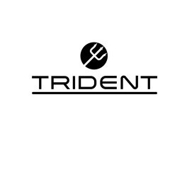 Trident - Easy Everytime