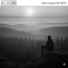 Guestmix Tom Larson - Dub Waves for myself