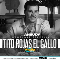 TITO ROJAS EXITOS MIX #RIP - DJ ANEUDY 2020