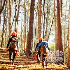 #044.【ゲスト：原薫さん】林業を通して出会った「自然（じねん）」という言葉