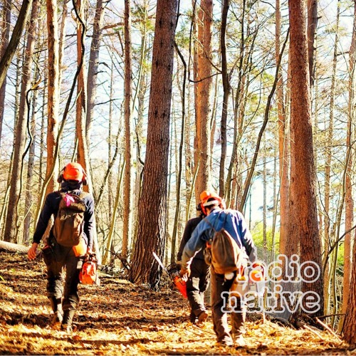 #044.【ゲスト：原薫さん】林業を通して出会った「自然（じねん）」という言葉