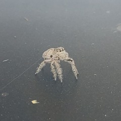 REWIND* OVERKILL-Vol.4