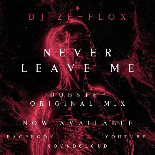 DJ ZE-FLOX Never Leave Me original mix