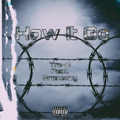 How It Go ~ Tre-O (Feat. Graneezy)