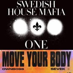 Move Your Body X One (Your Name) Pegazus Mashup