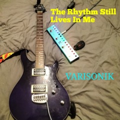 VARISONIK - The Rhythm Still Lives In Me