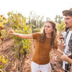 Best Montserrat With Cogwheel Train Tasting In A Boutique Winery Tapas Or Lunch Tours Review