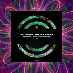 Redspace & Shayan Pasha - Pantheon