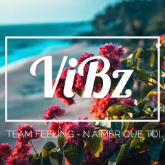 ViBz x TEAM FEELING - N'aimer Que Toi (New Version 2K22)