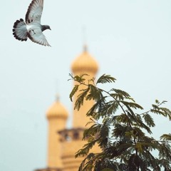 Khula Hai Sabhi Ke Liye Bab-e-Rehmat