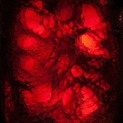 Worldbridgers - Morphogenesis