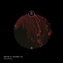 Natur & Techno 042 - deepAfrique